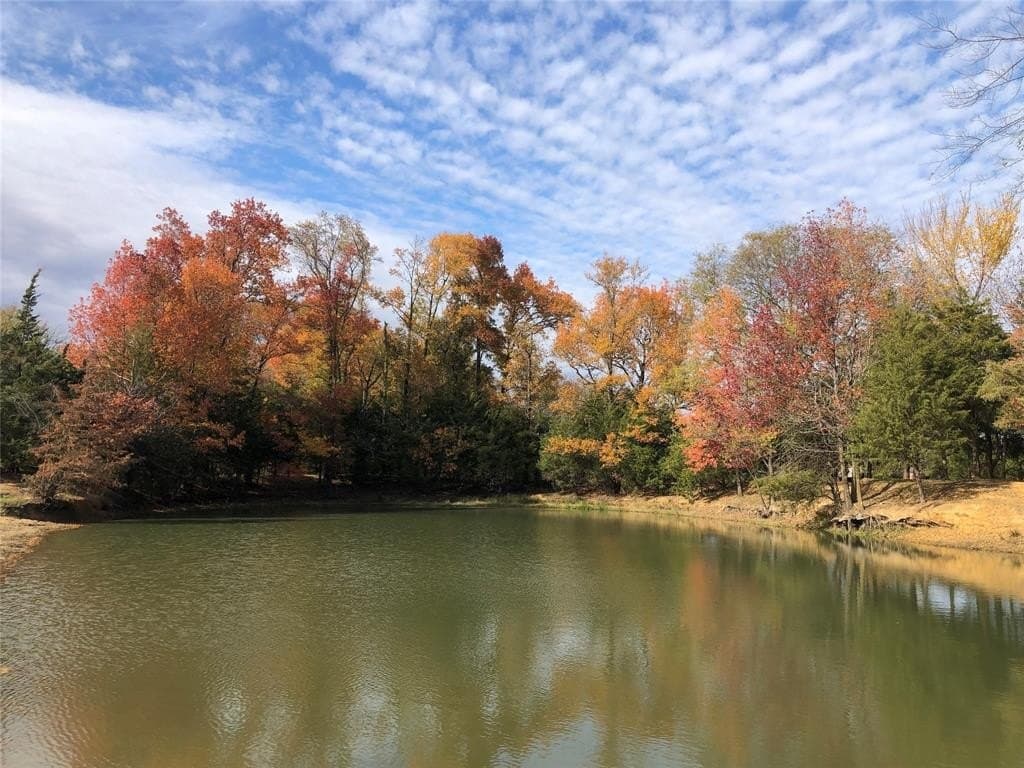 70.15 acres in Wood County - photo 12