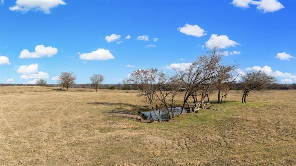 70.15 acres in Wood County - photo 26