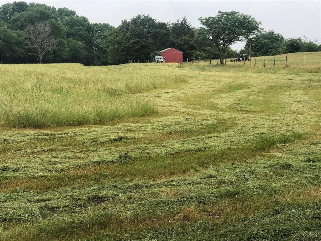 70.15 acres in Wood County - photo 8
