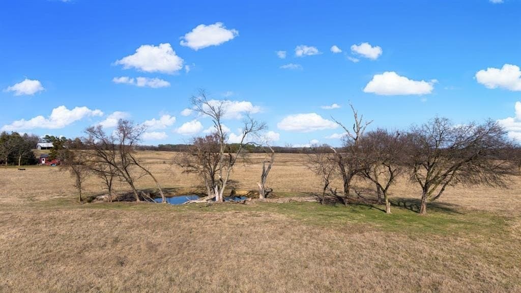 70.15 acres in Wood County - photo 35
