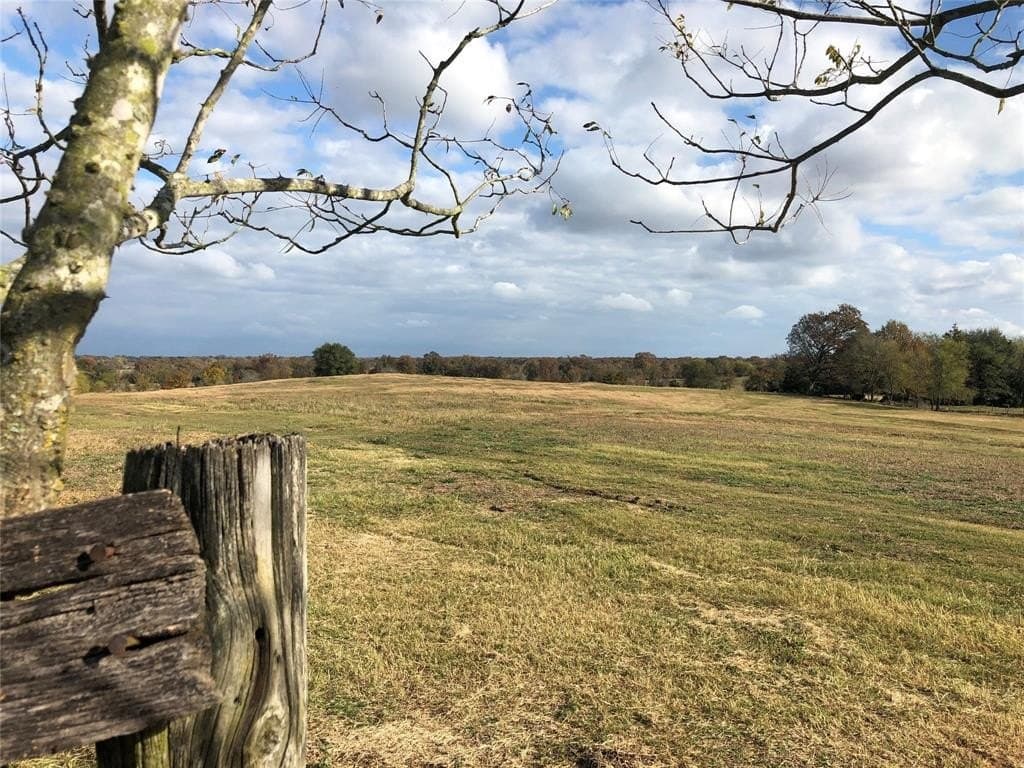 70.15 acres in Wood County - photo 14