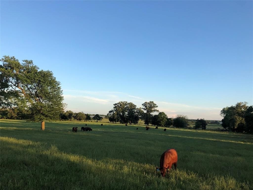70.15 acres in Wood County - photo 2