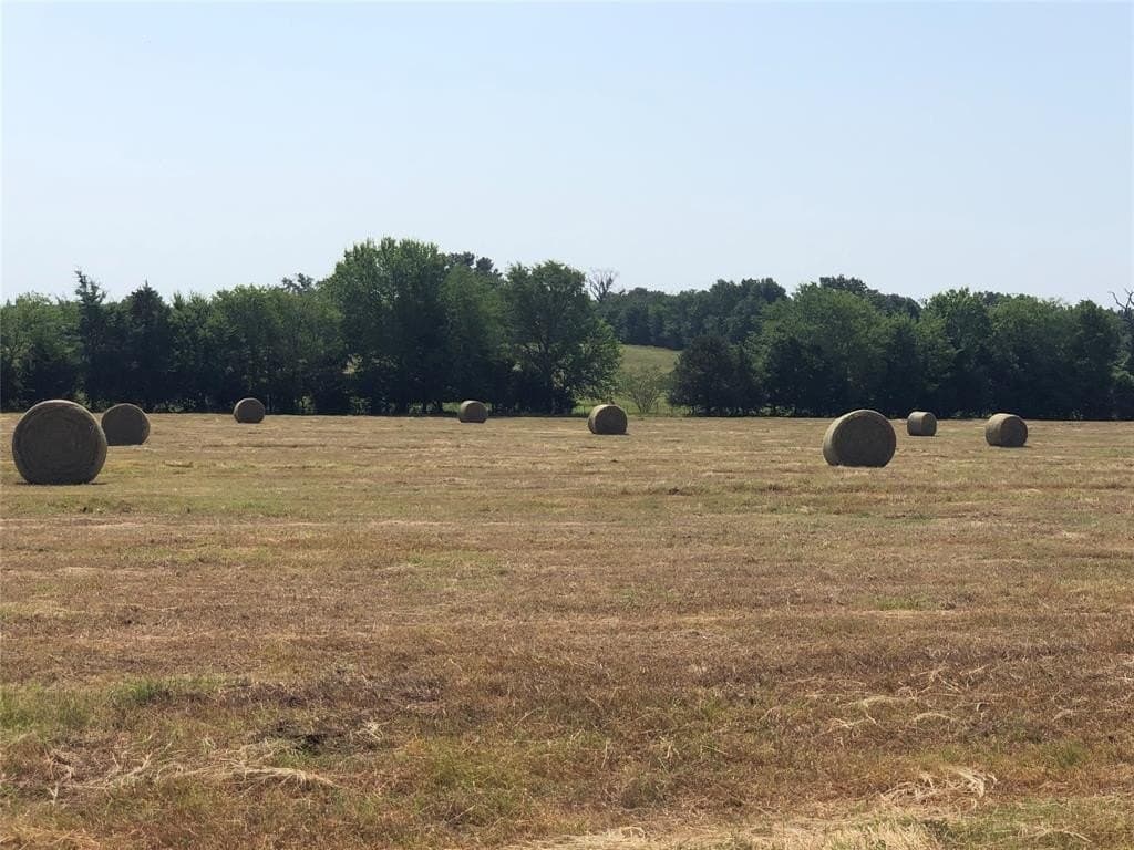 70.15 acres in Wood County - photo 15