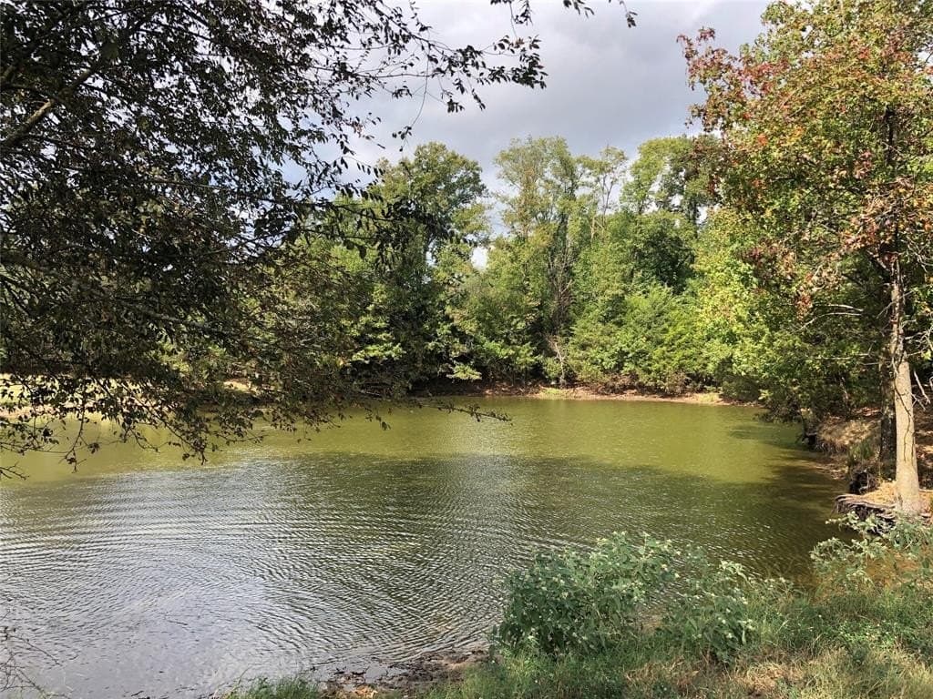 70.15 acres in Wood County - photo 9