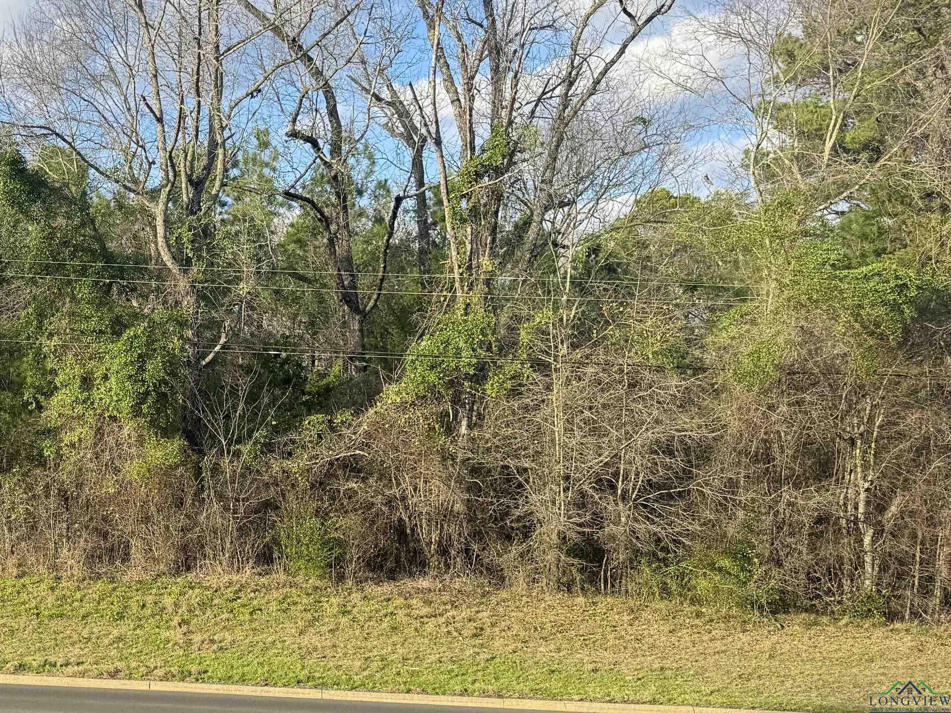 15.9 acres in Texas County - photo 5