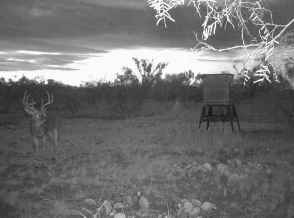 202.2 acres in Scurry County - photo 3