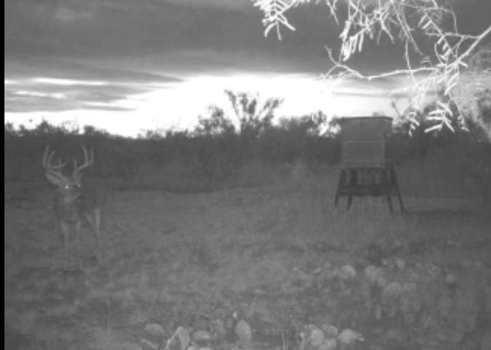 202.2 acres in Scurry County - photo 2