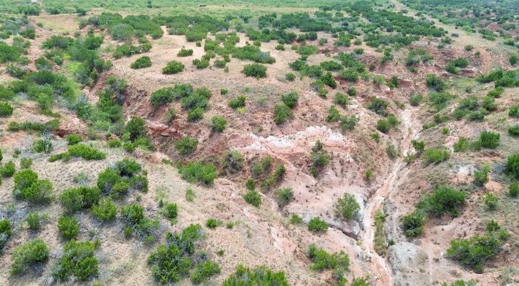 202.2 acres in Scurry County - photo 17