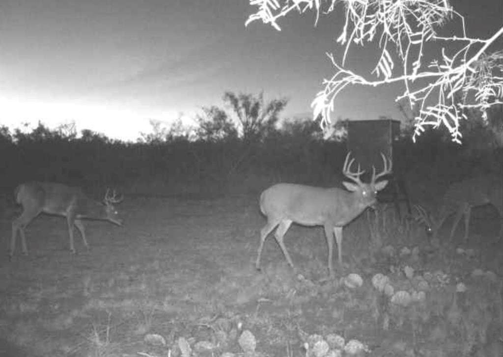 202.2 acres in Scurry County - photo 5