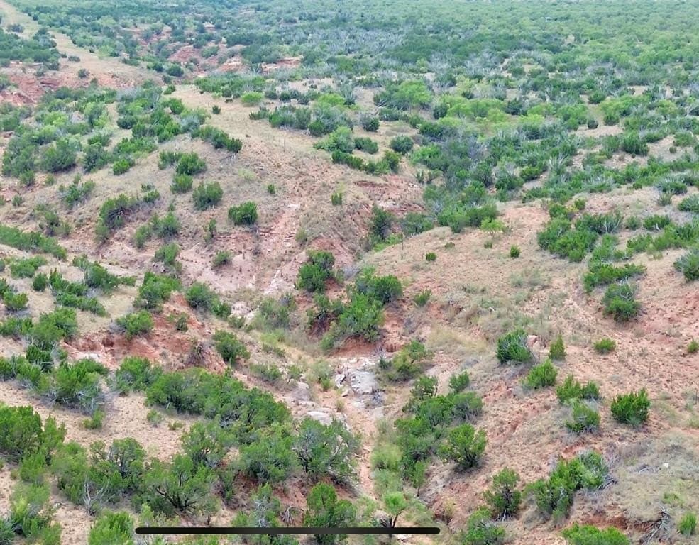 202.2 acres in Scurry County - photo 15