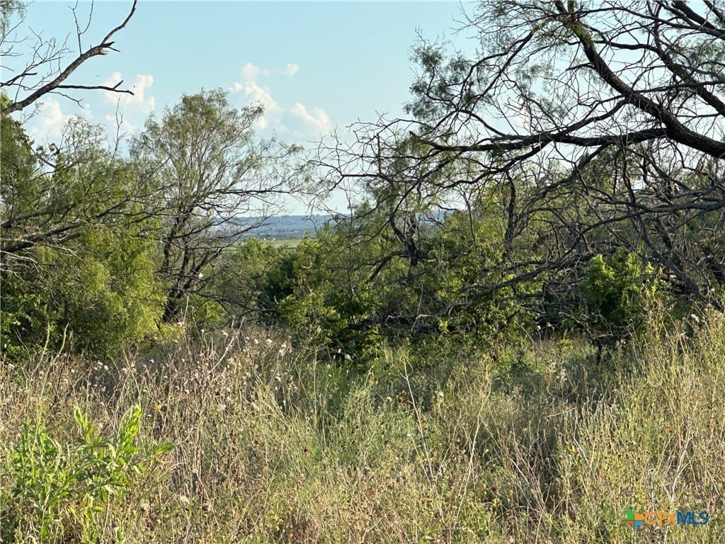 53.51 acres in Hamilton County - photo 17