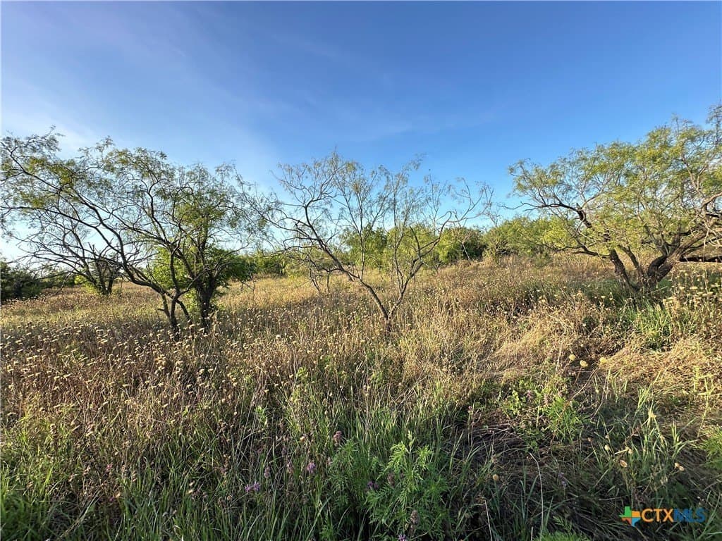 53.51 acres in Hamilton County - photo 24