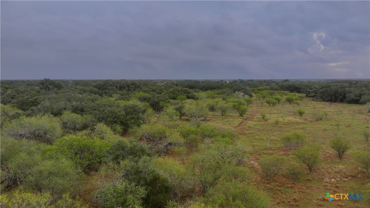 20 acres in Victoria County - photo 11