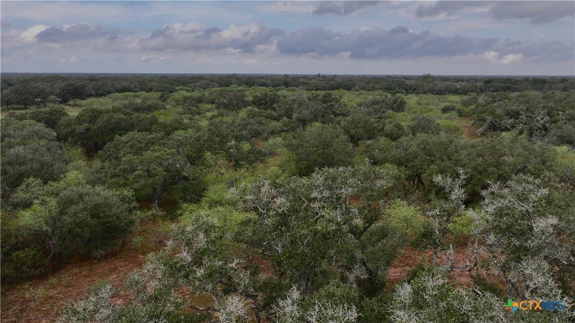 20 acres in Victoria County - photo 2