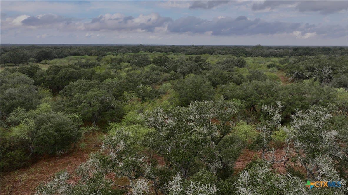 20 acres in Victoria County - photo 14