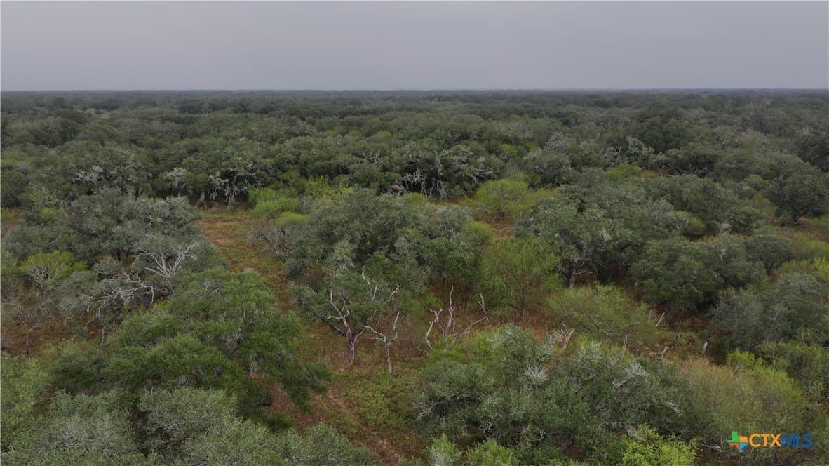 20 acres in Victoria County - photo 8