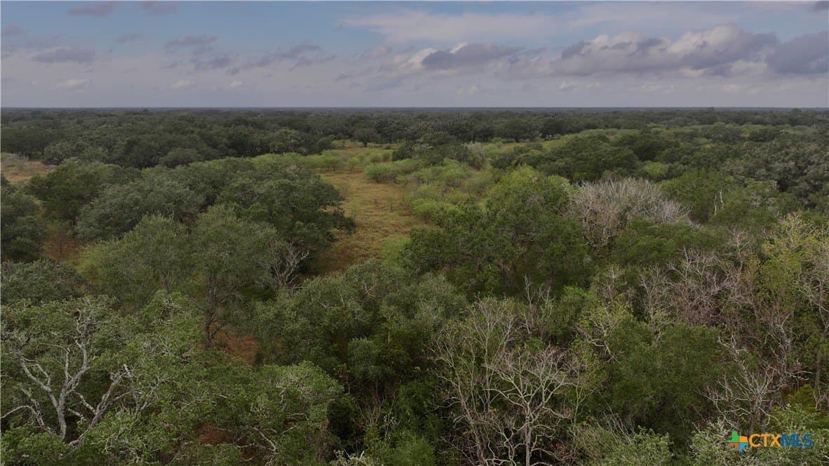 20 acres in Victoria County - photo 13