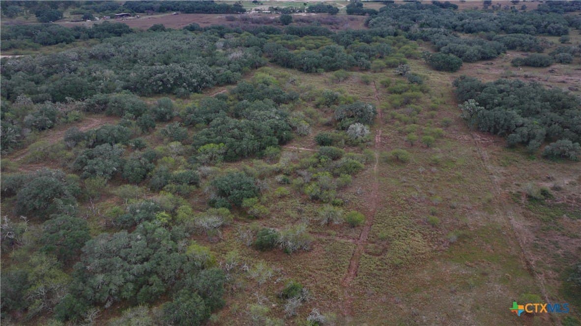 20 acres in Victoria County - photo 10