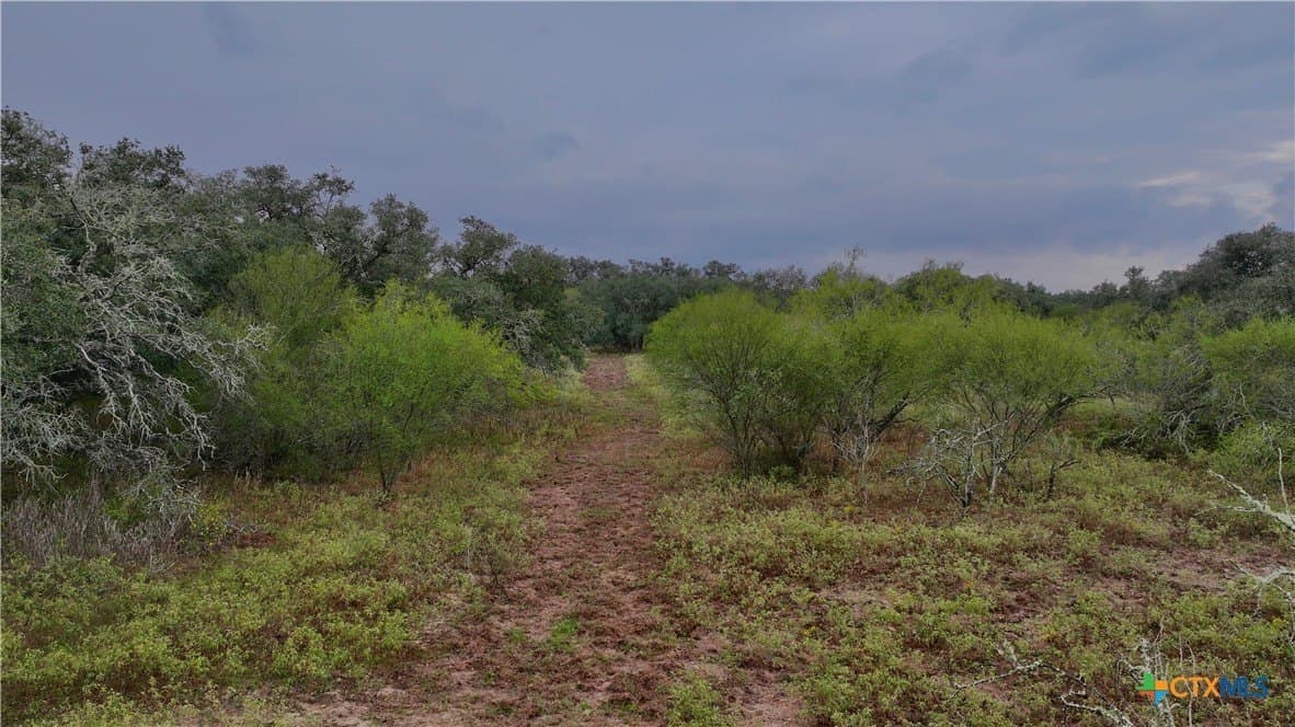 20 acres in Victoria County - photo 6