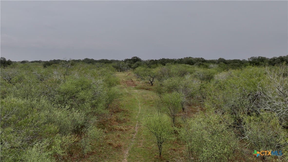 20 acres in Victoria County - photo 5