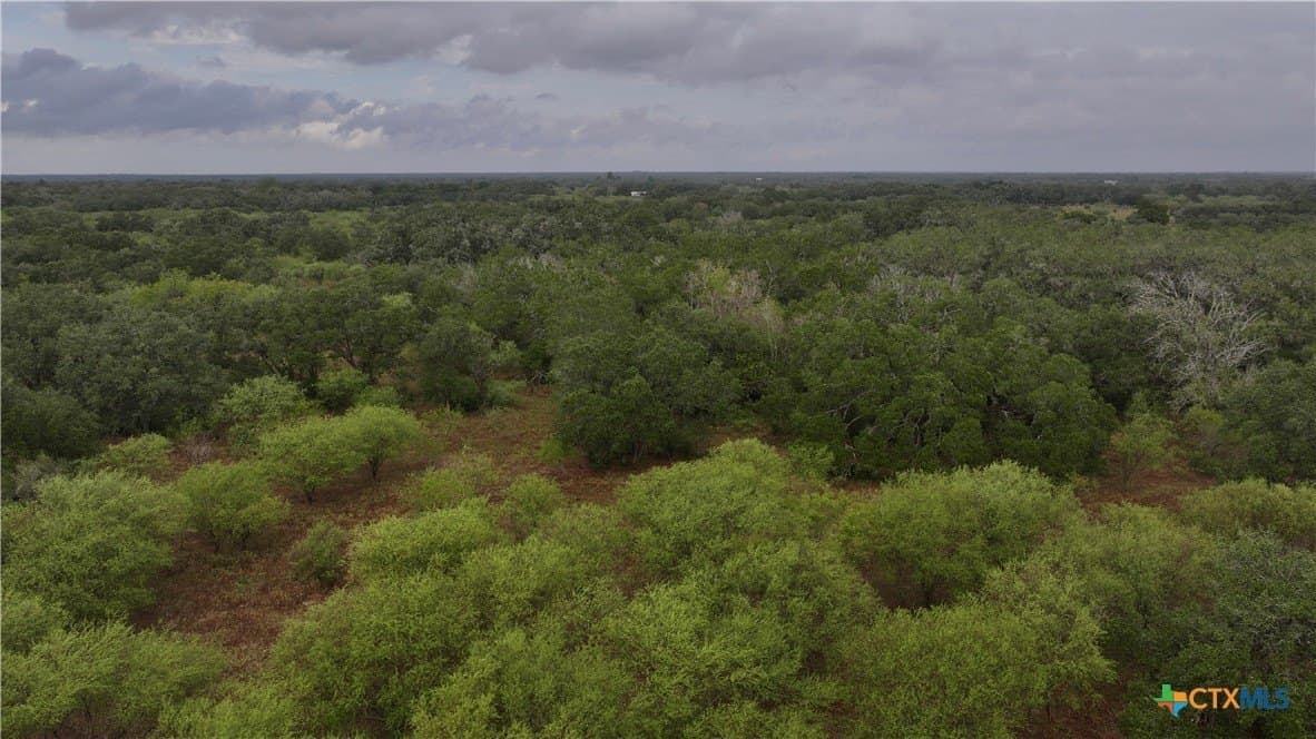 20 acres in Victoria County - photo 12