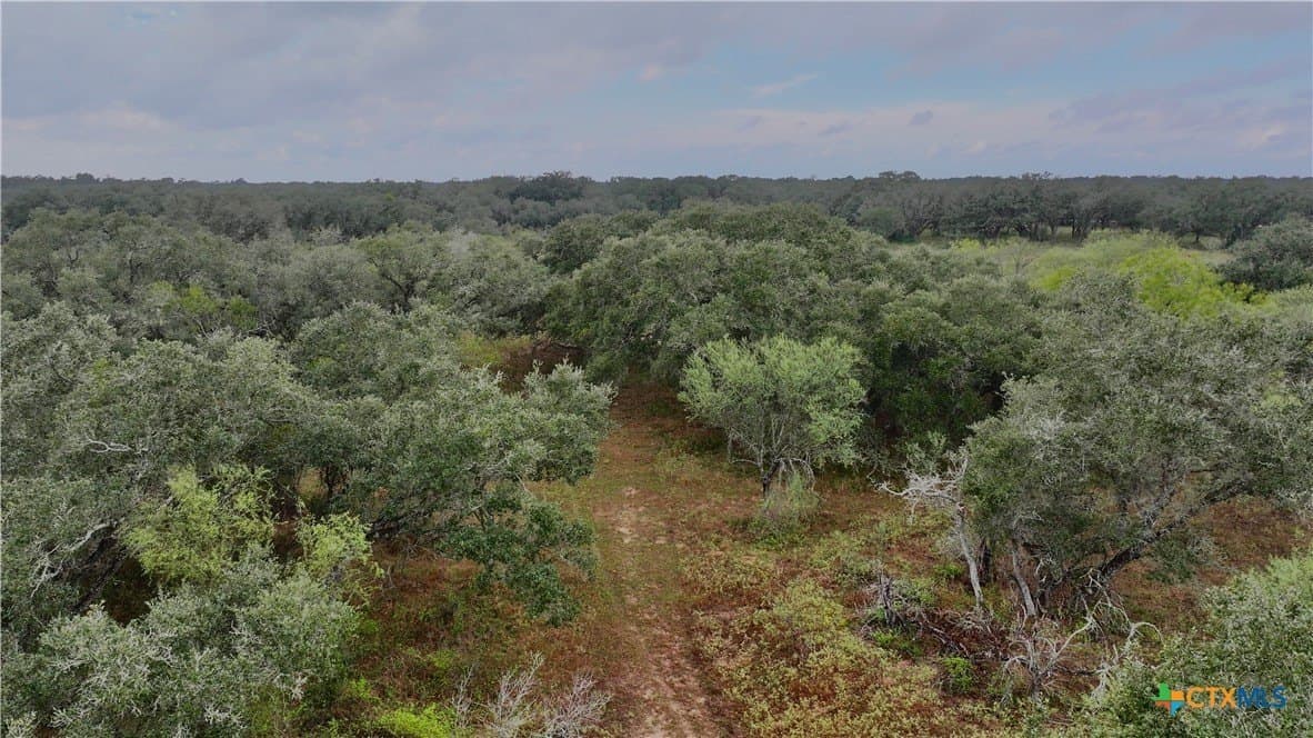 20 acres in Victoria County - photo 7