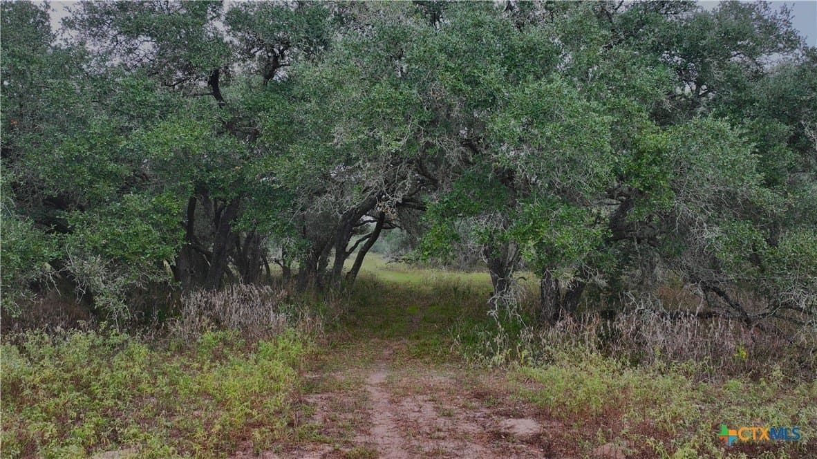 20 acres in Victoria County - photo 3