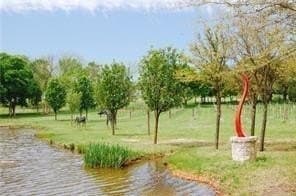1 acres in Grayson County - photo 6
