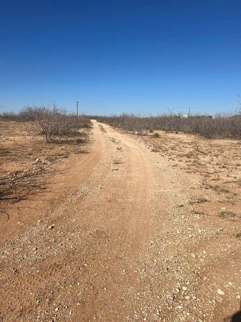 1.81 acres in Midland County - photo 3