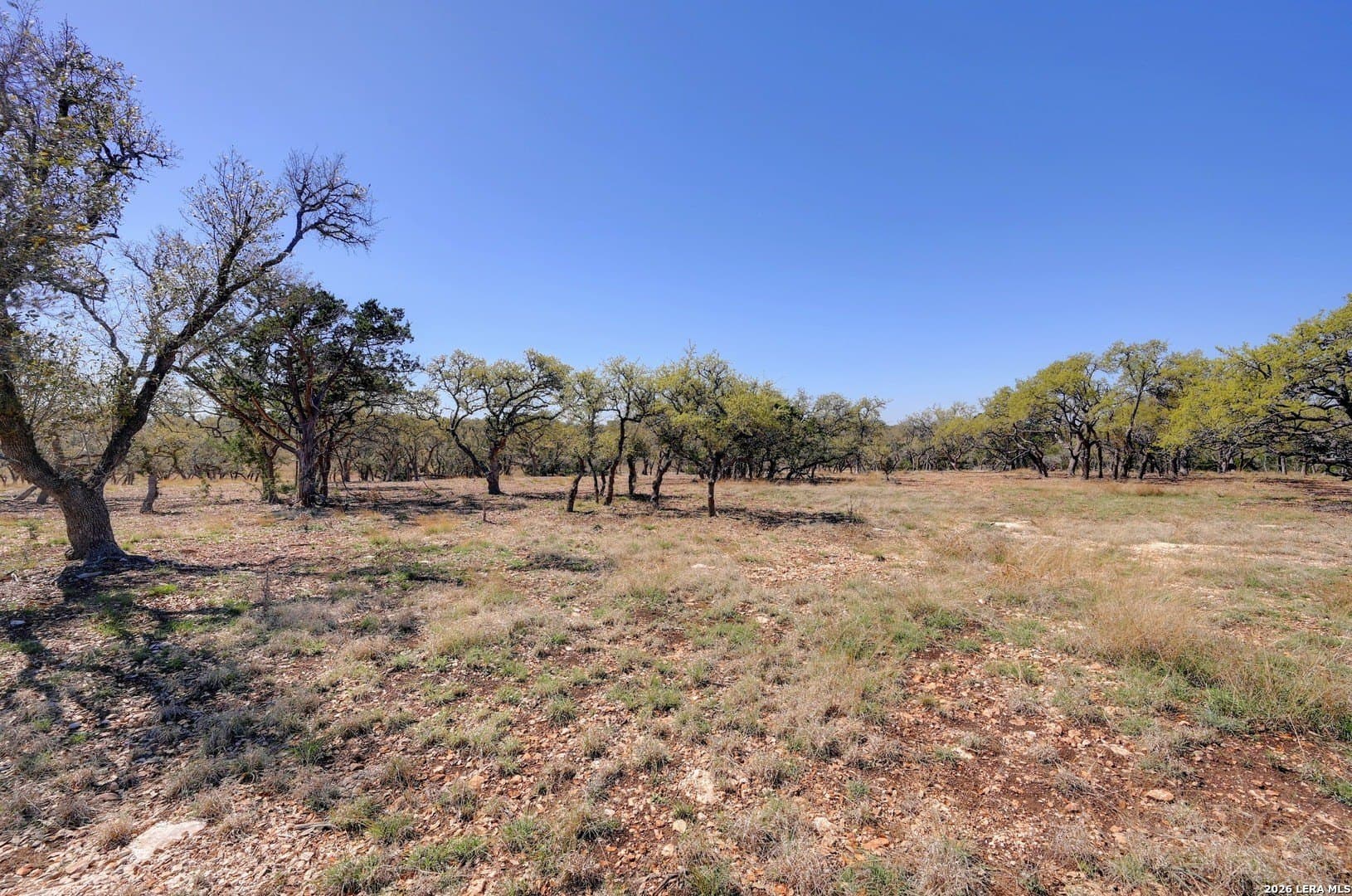 48.1 acres in Gillespie County - photo 10