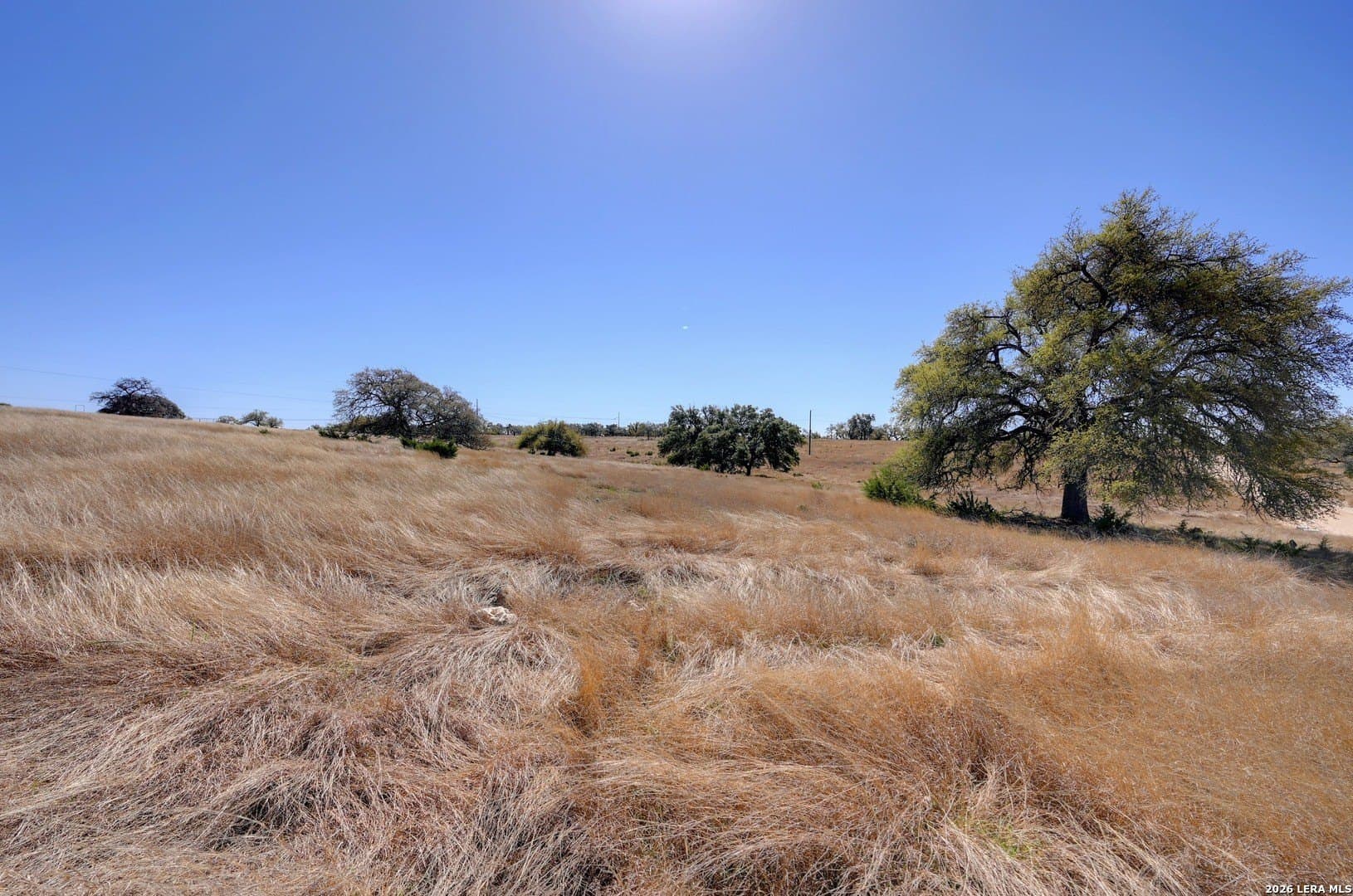 48.1 acres in Gillespie County - photo 14