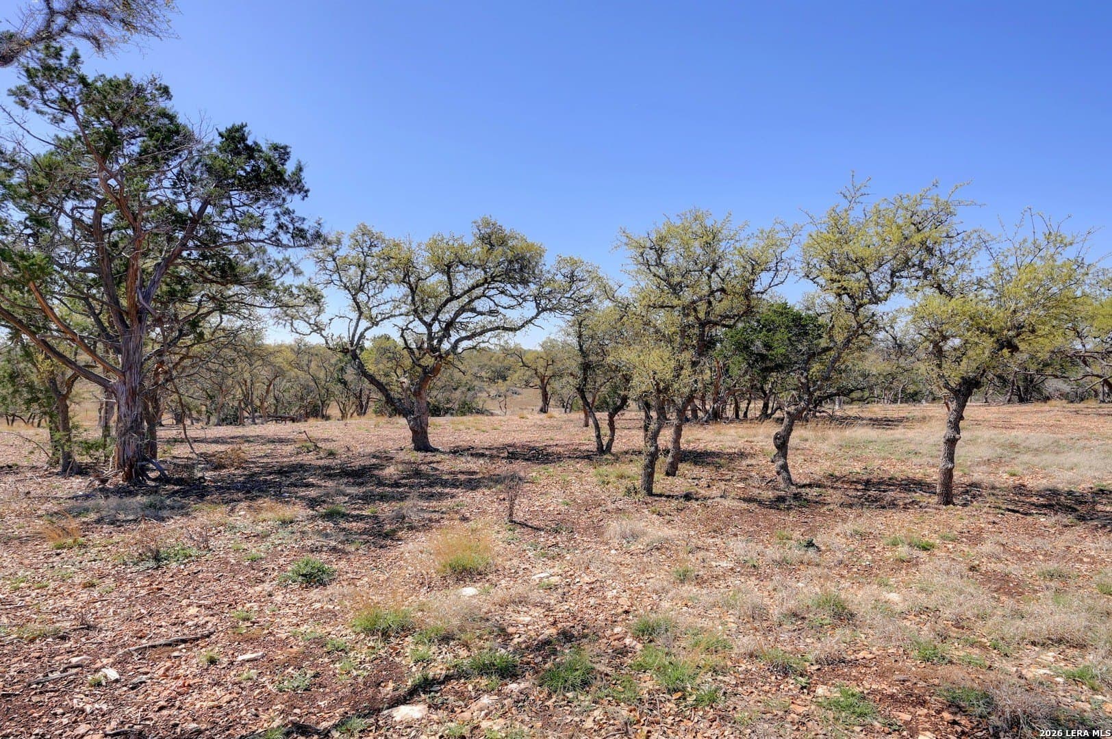 48.1 acres in Gillespie County - photo 11