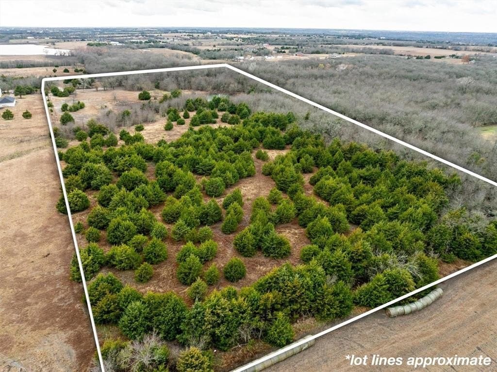 16.5 acres in Collin County - photo 10