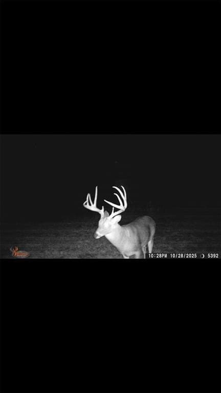 16.5 acres in Collin County - photo 34