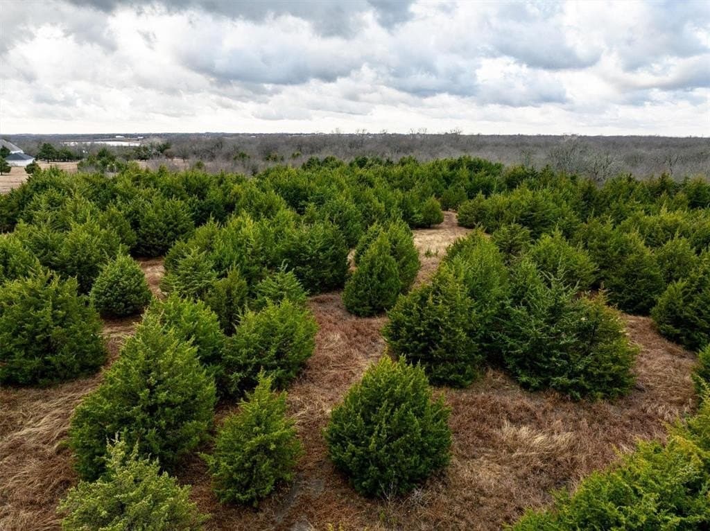 16.5 acres in Collin County - photo 11