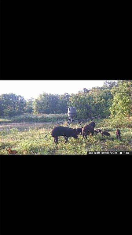 16.5 acres in Collin County - photo 33