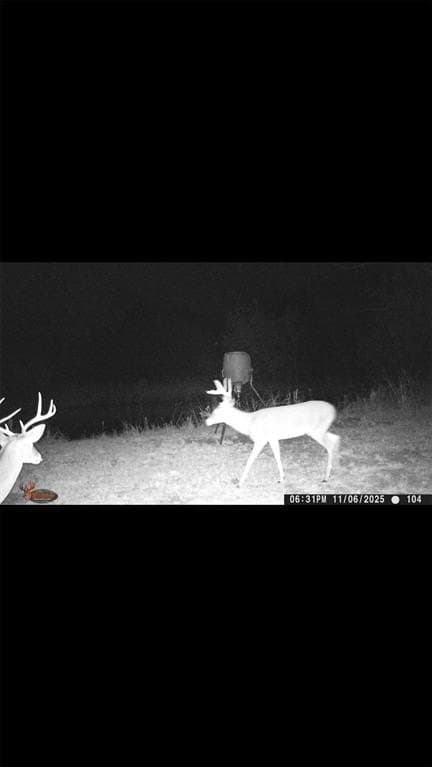 16.5 acres in Collin County - photo 35