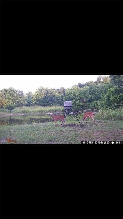 16.5 acres in Collin County - photo 32