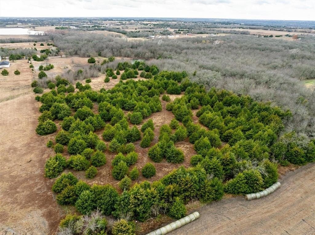 16.5 acres in Collin County - photo 9
