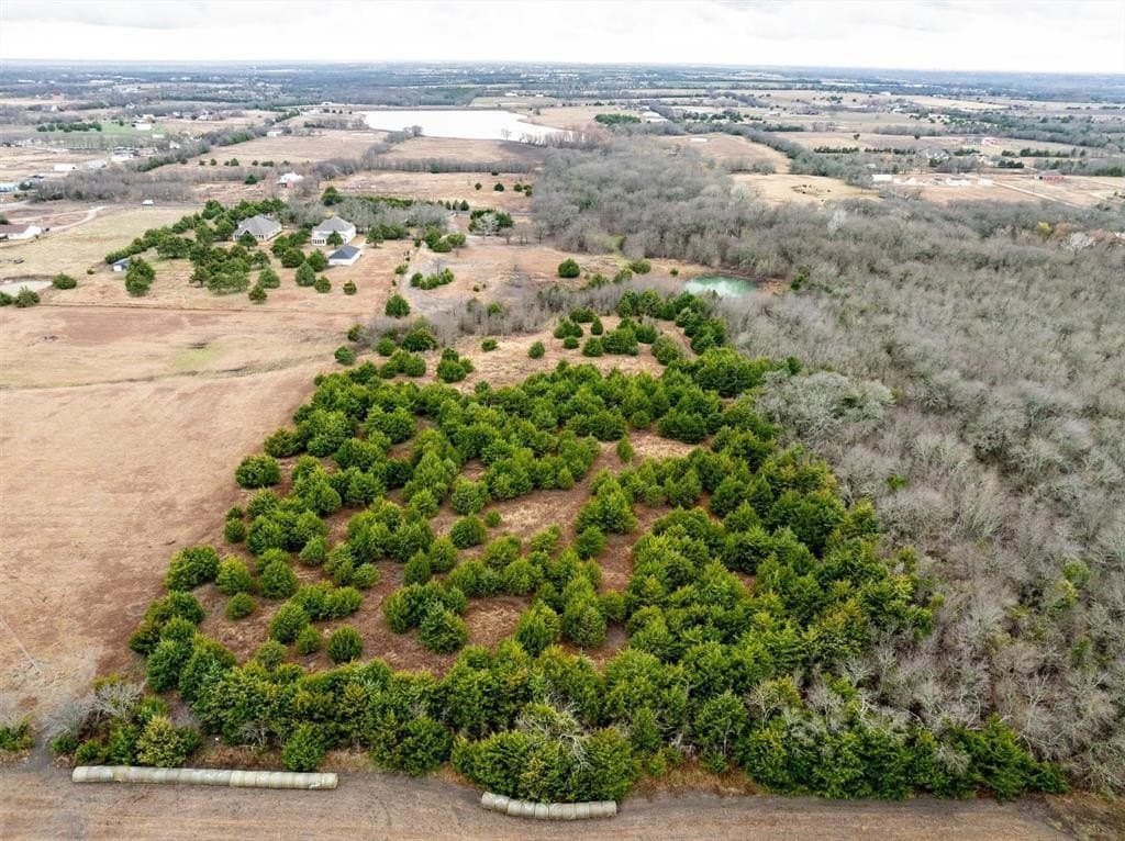 16.5 acres in Collin County - photo 8