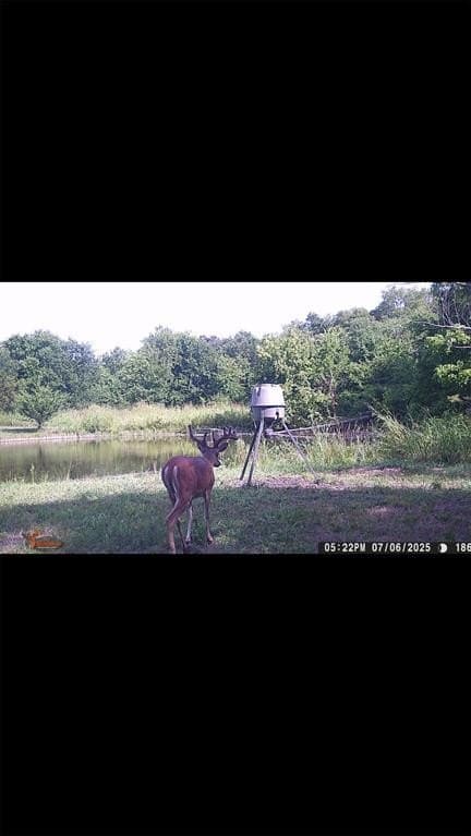 16.5 acres in Collin County - photo 31