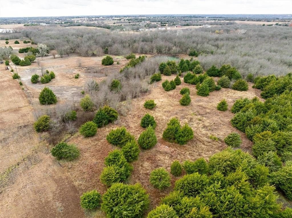 16.5 acres in Collin County - photo 12