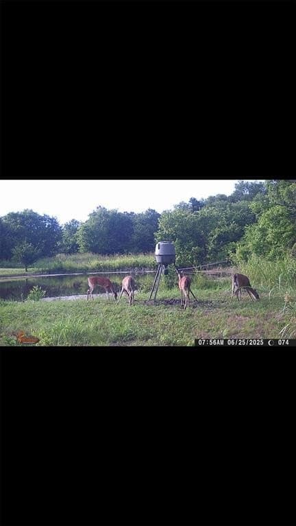 16.5 acres in Collin County - photo 30