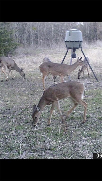 16.5 acres in Collin County - photo 29