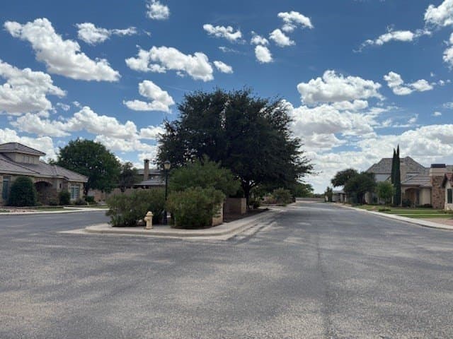 0.19 acres in Midland County - photo 5
