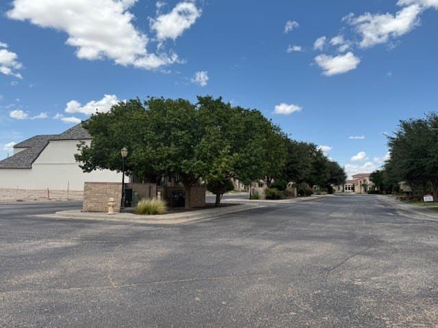 0.19 acres in Midland County - photo 3