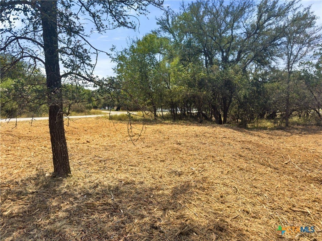 0.2 acres in Llano County - photo 3