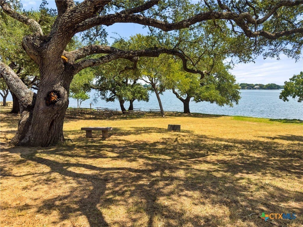 0.2 acres in Llano County - photo 16