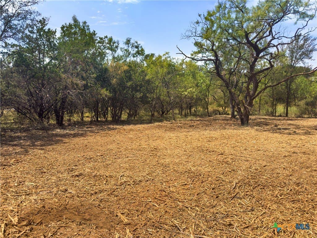 0.2 acres in Llano County - photo 7