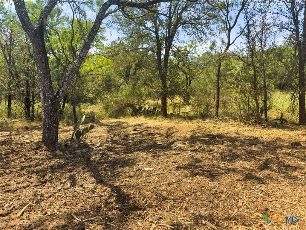 0.2 acres in Llano County - photo 12